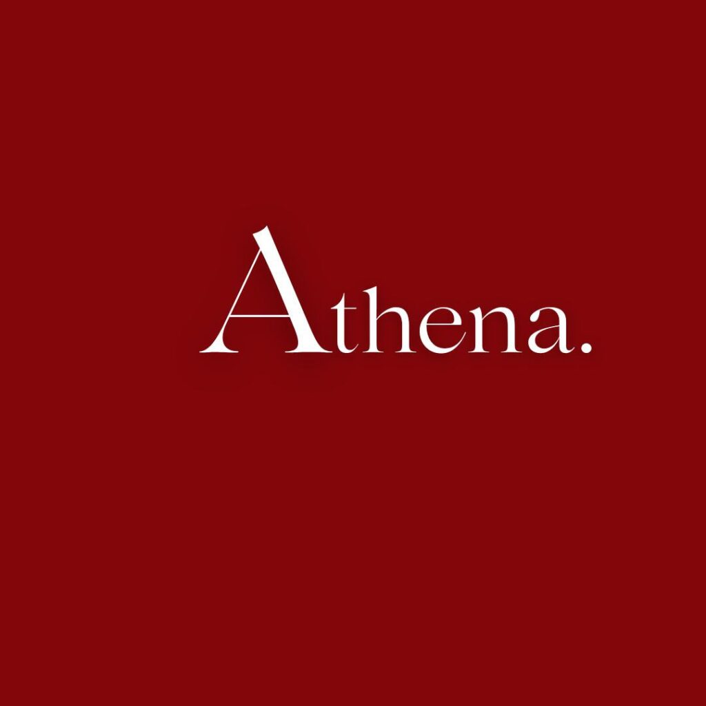 photo_6062016541106488305_y